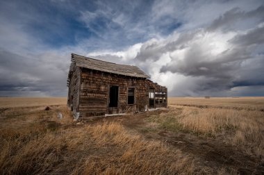 Baharın başlarında Alberta 'da terk edilmiş çiftlik binaları..