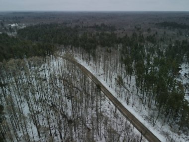 Kış boyunca karla kaplı bir ormanın havadan çekilmiş görüntüsü.