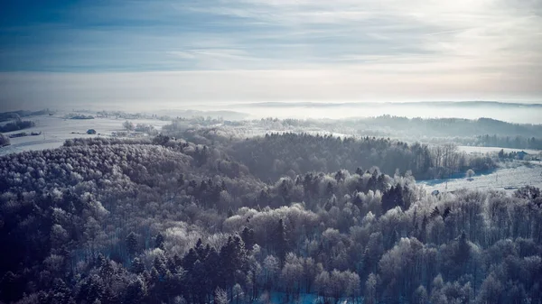 Una Toma Aérea Hermoso Bosque Invierno Cubierto Nieve Durante Día —  Fotos de Stock