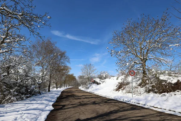 Прекрасний Знімок Проїжджої Частини Ландшафті Вкритому Снігом Вранці Взимку — стокове фото