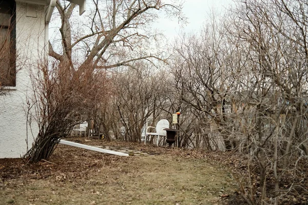 Widok Gołych Drzew Podwórku Domu Saint Paul Minnesota — Zdjęcie stockowe