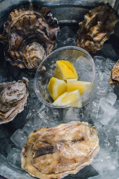 Oysters Shell Ice Lemon Wedges Outdoor Restaurant — Stock Photo, Image