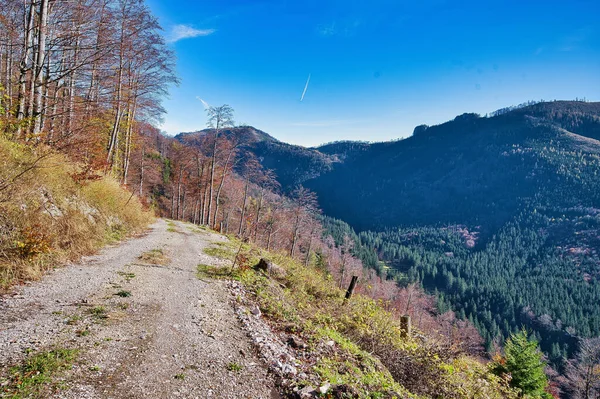 Veduta Panoramica Sentiero Nelle Montagne Del Salzkammergut Durante Autunno Una — Foto Stock