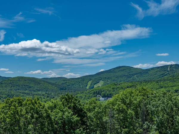 Una Hermosa Vista Paisaje Verde Con Árboles Bajo Cielo Azul — Foto de Stock