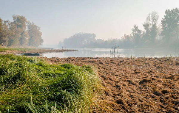 Panoramic View Swampy Shore Covered Tall Green Grass Morning Mist — Stock Photo, Image