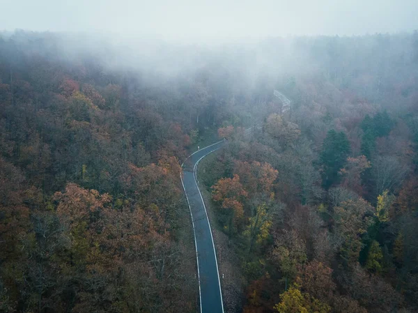 Вид Повітря Дорогу Серед Дерев Лісі Восени Туманний День — стокове фото