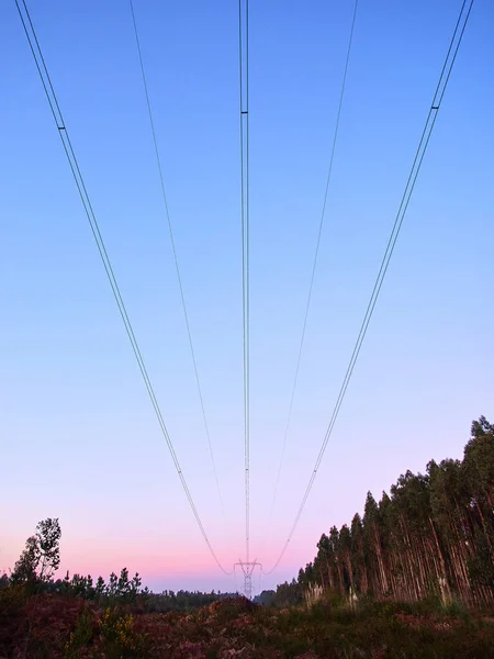 日没時の送電塔の垂直ショット — ストック写真