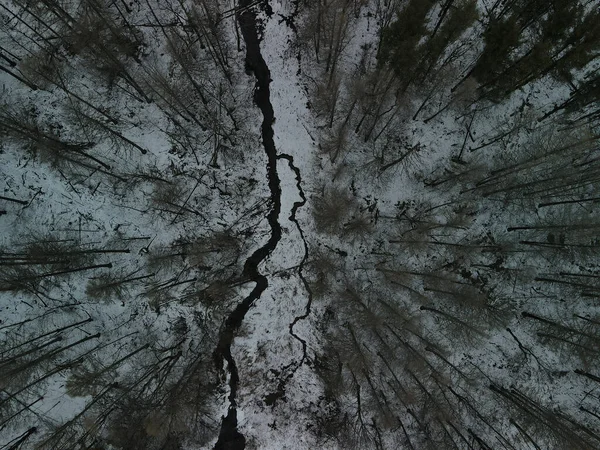 An aerial shot of a forest covered in snow during the winter