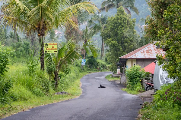 Natural View Street Houses Agricultural Fields Munduk Bali Indonesia — Stock Photo, Image