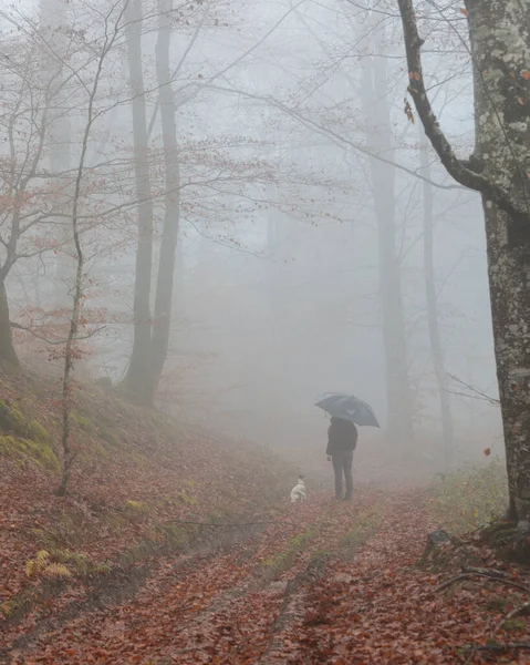 Homme Avec Parapluie Marchant Dans Une Forêt Automne Brumeuse — Photo