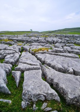 Gündüz vakti Yorkshire Dales Ulusal Parkı 'ndaki kayaların dikey görüntüsü.