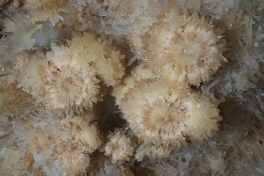 İnce sarkıt sarkıtlar mağaranın tavanından sarkmaktadır (Cuevas de Bellamar), Küba