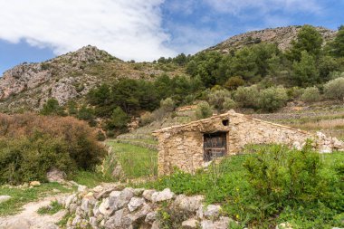Çam ormanı, dağlar ve eski bir kır evi olan bir bahar manzarası.