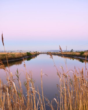 Günbatımında Portekiz, Ria de Aveiro 'da bir kanalın dikey çekimi.
