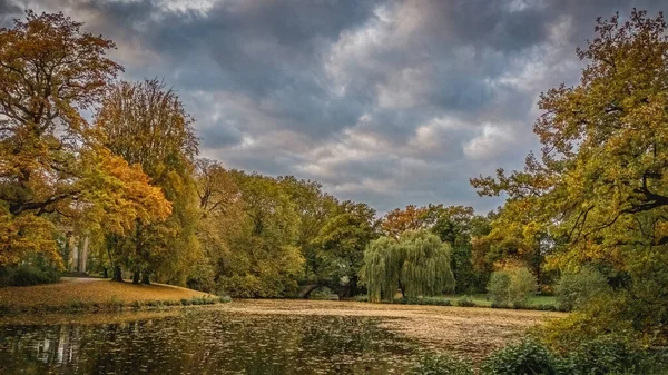 秋には公園内の池や小さな湖を眺めながら 水面や雲の上に紅葉します — ストック写真