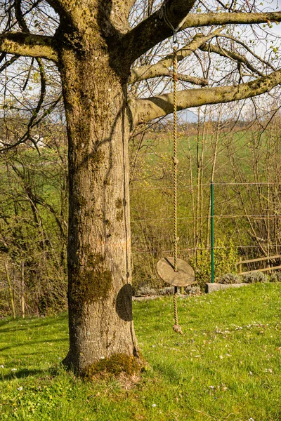 庭の木の枝にぶら下がっている子供のためのディスクスイングの垂直ショット — ストック写真