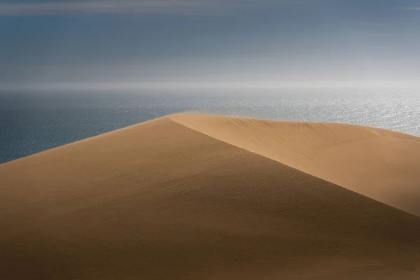 Ein Schöner Blick Auf Einen Sandigen Hügel Mit Meer Hintergrund — Stockfoto