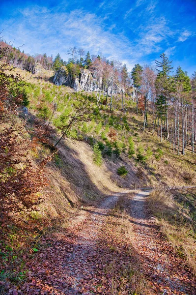 Una Verticale Sentiero Nelle Montagne Salzkammergut Durante Autunno Una Giornata — Foto Stock