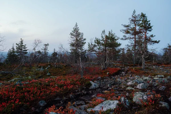 Wandelpad Fins Lapland — Stockfoto