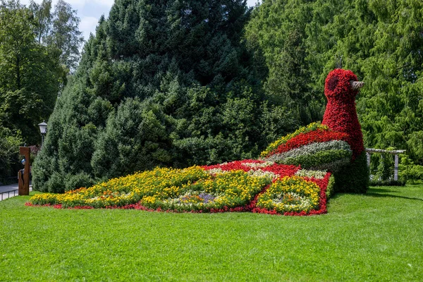 Schöner Blumenschmuck Eines Schwans Park Auf Der Insel Mainau Bodensee — Stockfoto