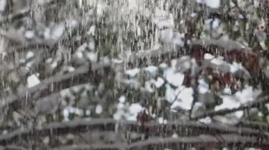 Ağaçlardan, kıştan, ormandan yağan karlar.