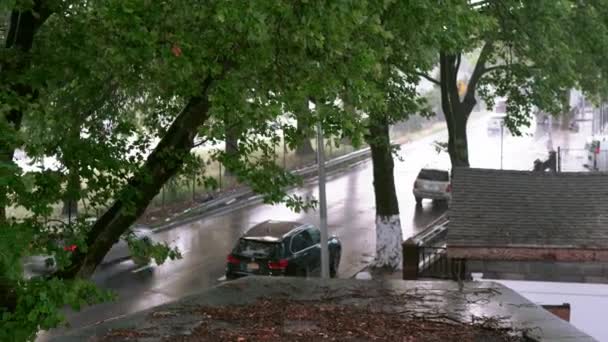 Видеозапись Сильного Дождя Деревьях Машинами Дороге — стоковое видео