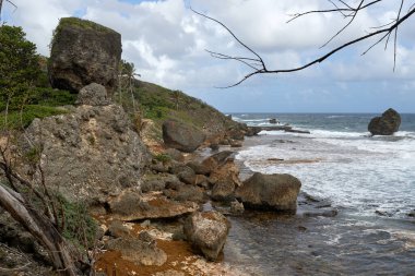 Bulutlu bir gökyüzüne doğru sürüklenen bir kumsalın kayalık kıyısı.