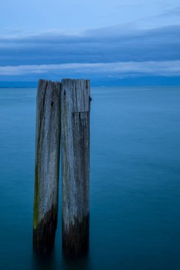 Göle saplanmış iki tahta çubuğun dikey görüntüsü..