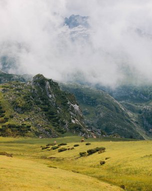 Dağlarda sisli bir gün
