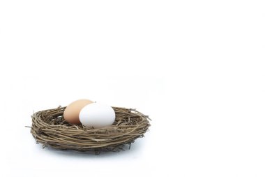 Beyaz arka planda izole edilmiş iki yumurtalı bir yuvanın yakın çekim görüntüsü.