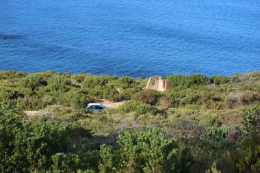 Yaz mevsiminde Skagit ilçesinin kıyılarının doğal bir görüntüsü.
