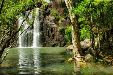 Tropikal Kuzey Queensland 'da Whitsunday Sahili' nde bir ormanda şelalesi olan bir uçurum.