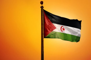 Sahra Arap Demokratik Cumhuriyeti bayrağının turuncu arka planda izole edilmiş bir resmi.