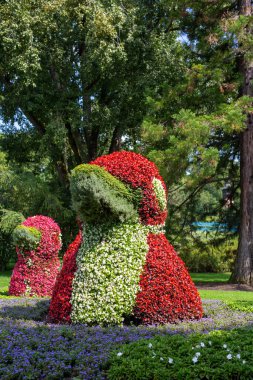 Constance Gölü 'ndeki Mainau adasında çiçek ördeklerinin dikey görüntüsü.