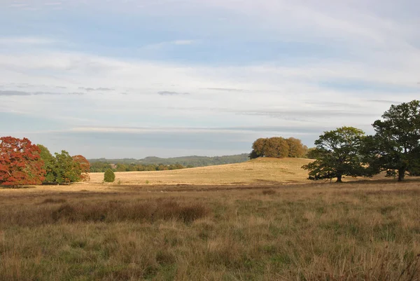 Uma Paisagem Campo Marrom Sob Céu Nublado Petworth Park Reino — Fotografia de Stock