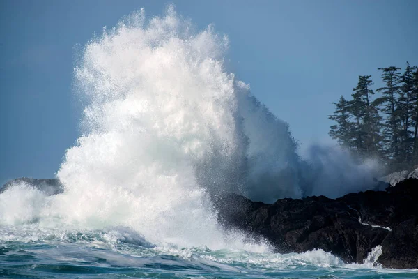 Büyük bir sahilde çarpan bir dalga, Wild Pacific Trail, Ucluelet, Vancouver Adası, BC Kanada