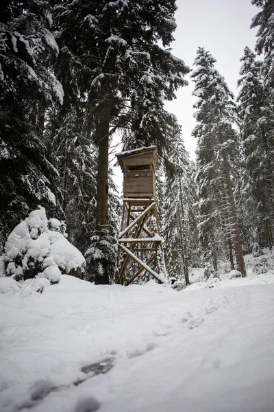Pionowe Ujęcie Lasu Pokrytego Śniegiem Ciągu Dnia Zimie — Zdjęcie stockowe