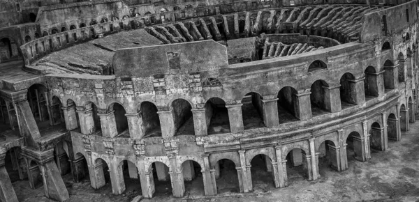 Gråskala Bild Colosseum Oval Amfiteater Centrum Staden Rom Italien — Stockfoto