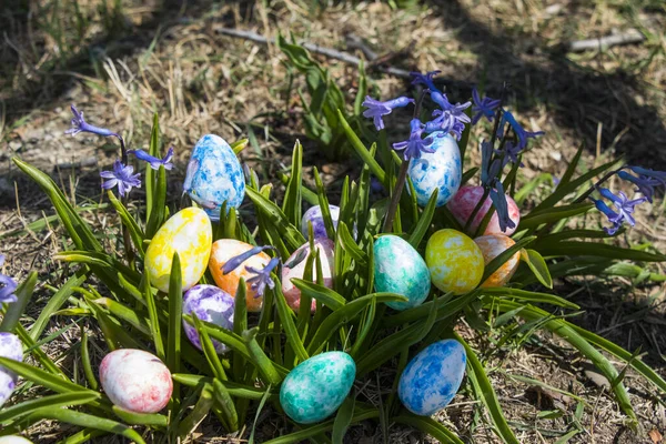 Detailní Záběr Barevných Velikonočních Vajíček Trávě Poli — Stock fotografie