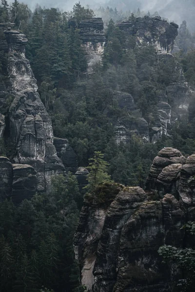 Foto Vid Saxon Schweiz Nationalpark Dimmig Dag Med Otroliga Klippformationer — Stockfoto