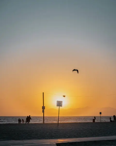 Вертикальний Знімок Пляжу Заході Сонця — стокове фото