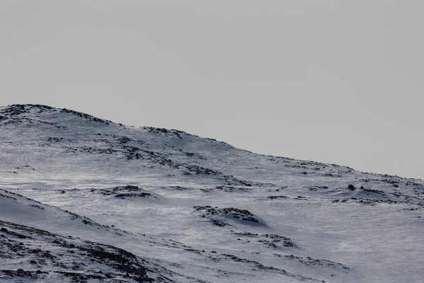 Der Blick Auf Den Verschneiten Hang Des Berges Hemsedal Norwegen — Stockfoto