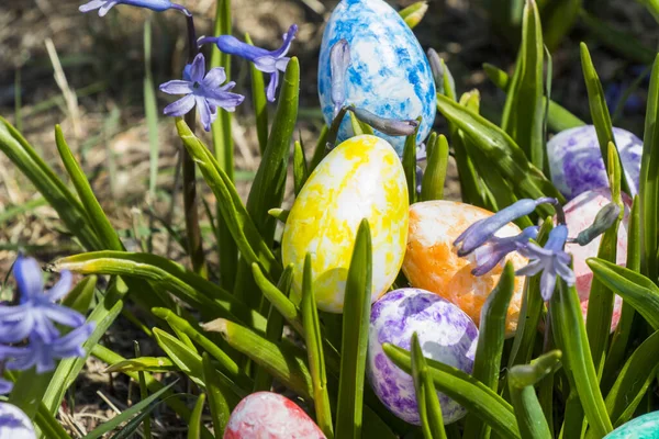 Detailní Záběr Barevných Velikonočních Vajíček Trávě Poli — Stock fotografie