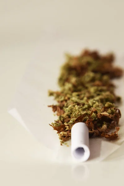 Vertikální Záběr Rozbaleného Marihuanového Kloubu Bílém Pozadí — Stock fotografie