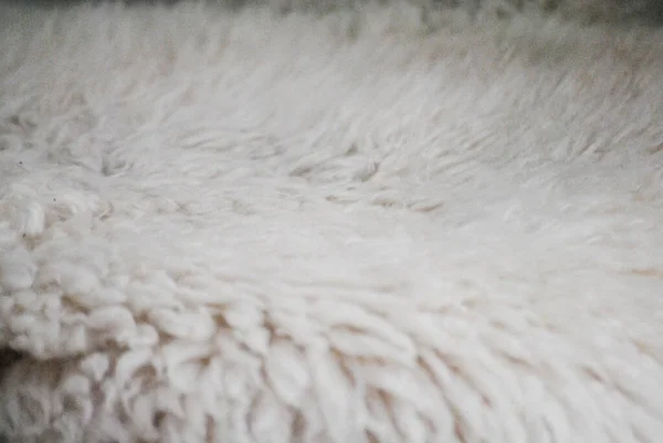 Leather White Sheep Wool Decorate Interiors — Stock Photo, Image