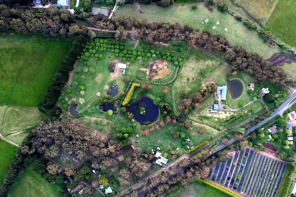 Una Vista Aérea Pintoresco Jardín Con Exuberante Vegetación Asientos Piedra —  Fotos de Stock