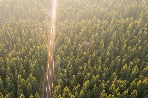 Vue Aérienne Sur Une Route Entourée Conifères — Photo