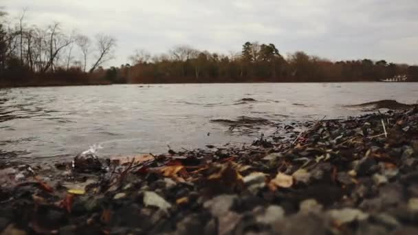 Río Tierra Que Bordean Entre Greenwich Nueva Jersey — Vídeos de Stock