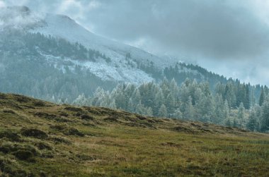 Almanya, Bavyera 'da bulutlu bir gökyüzü altında Berchtesgadener manzarasının güzel bir manzarası