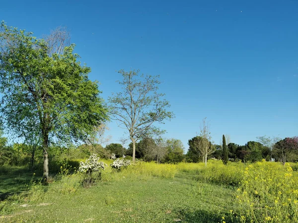 Madrid Spanya Yeşil Doğalı Cuna Verde Donnell Parkı Manzarası — Stok fotoğraf